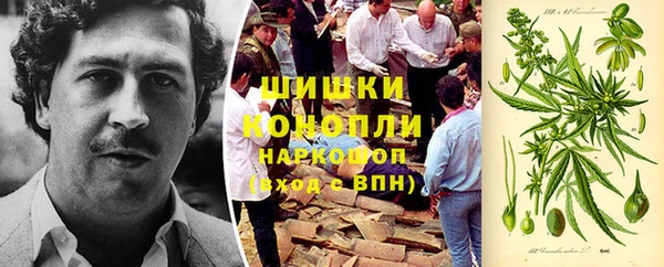 прущие грибы Нязепетровск