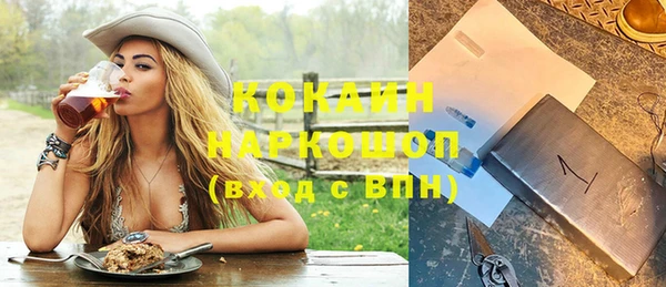 прущие грибы Нязепетровск