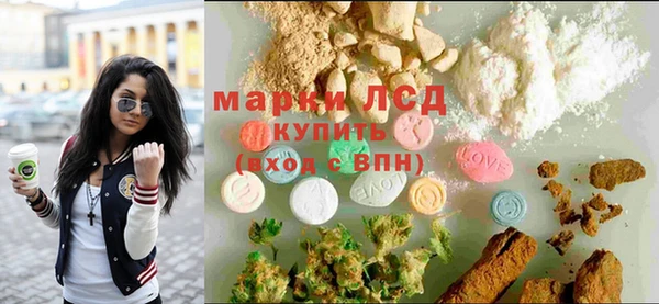 прущие грибы Нязепетровск