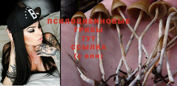 MDMA Premium VHQ Няндома