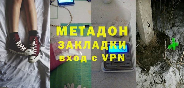 прущие грибы Нязепетровск