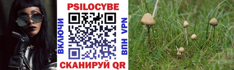 Галлюциногенные грибы MAGIC MUSHROOMS  хочу   Купино 